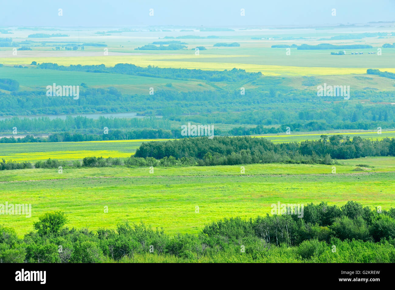 Farmland Baljennie Saskatchewan Canada Stock Photo