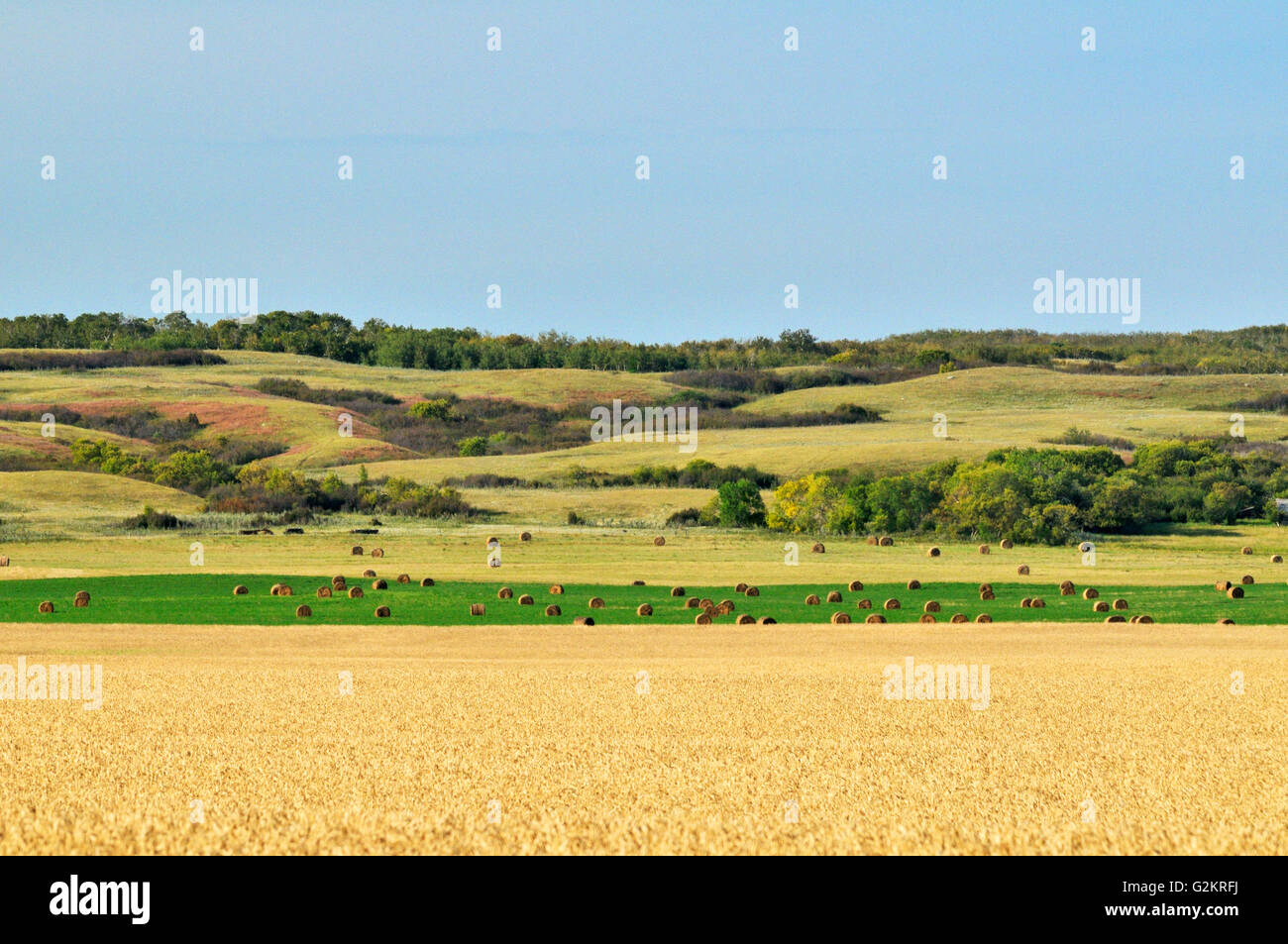 Bales Carlyle Saskatchewan Canada Stock Photo