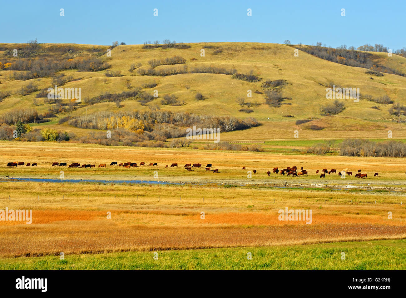 Grenfell saskatchewan hires stock photography and images Alamy