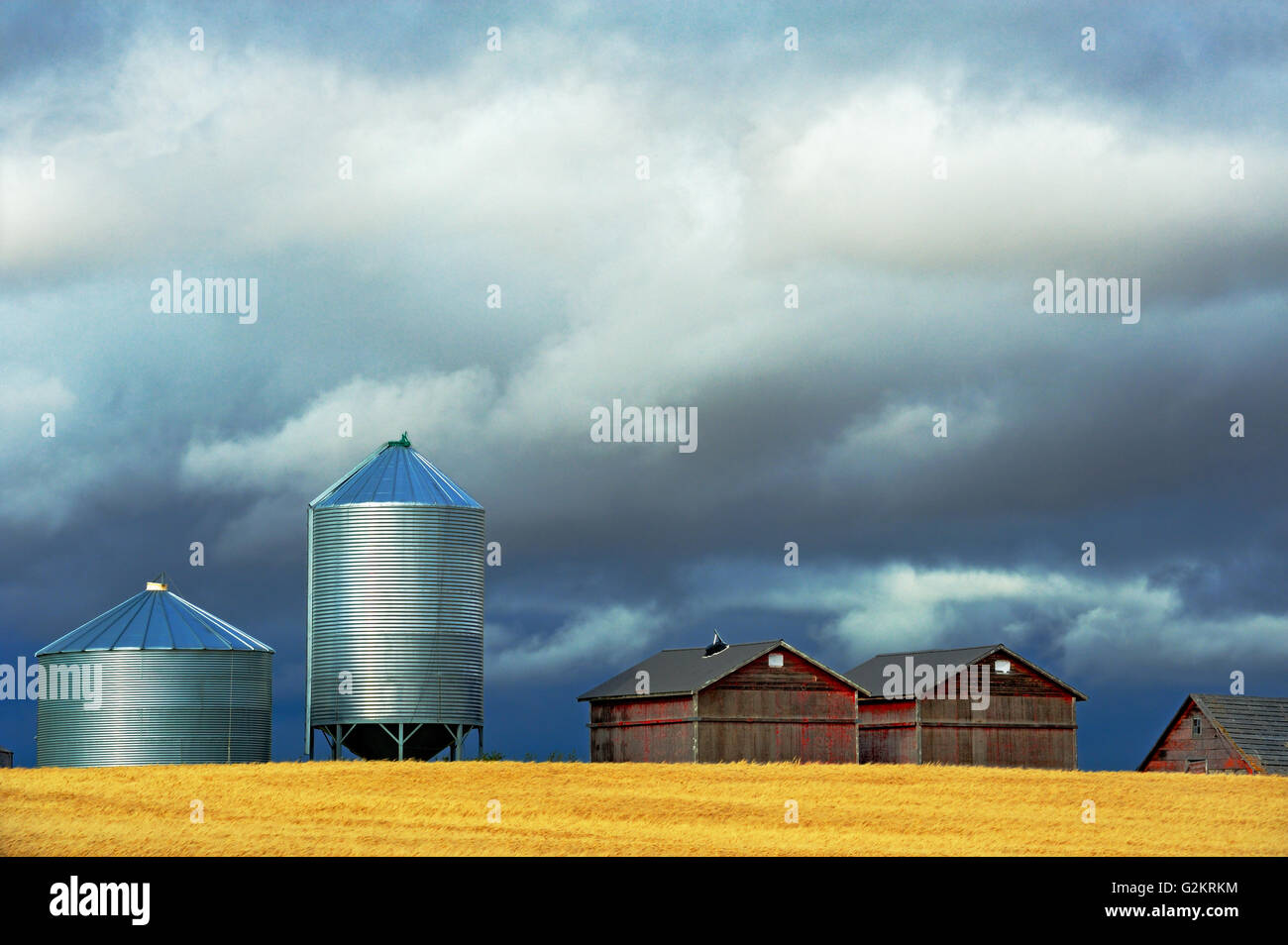 Grain bins  Morse Saskatchewan Canada Stock Photo