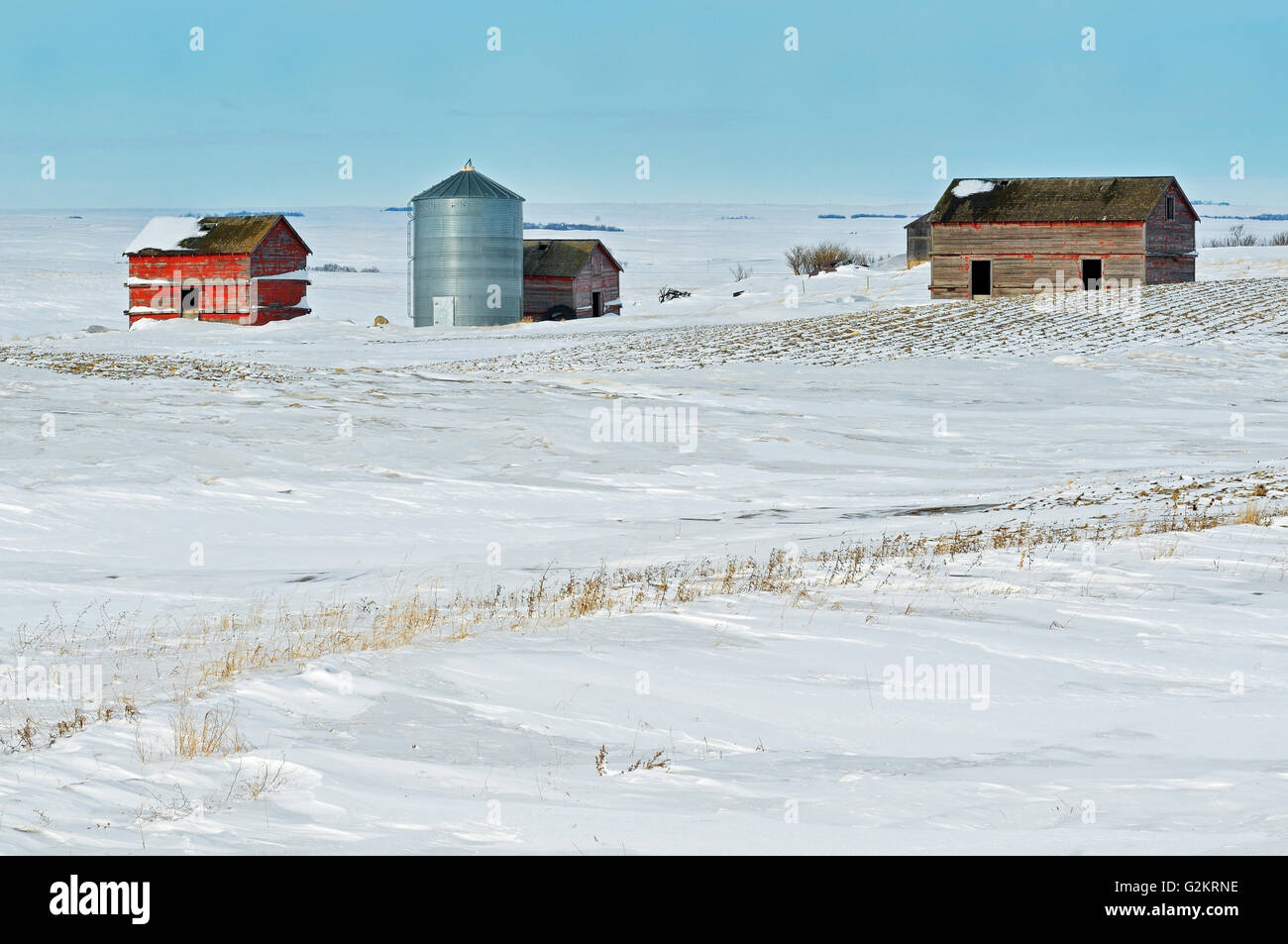 Old farmstead in winter Viceroy Saskatchewan Canada Stock Photo Alamy