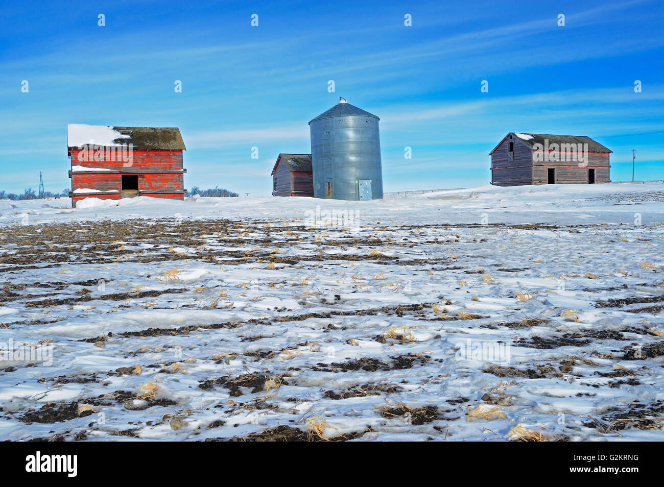 Old farmstead in winter Viceroy Saskatchewan Canada Stock Photo Alamy