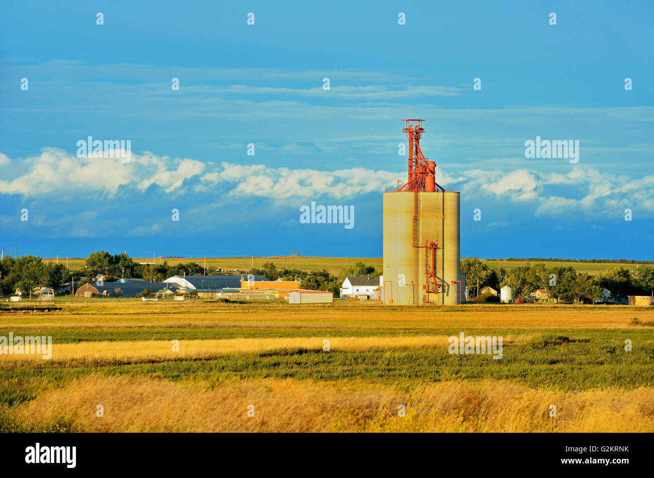 Inland grain terminal Hodgeville Saskatchewan Canada Stock Photo Alamy