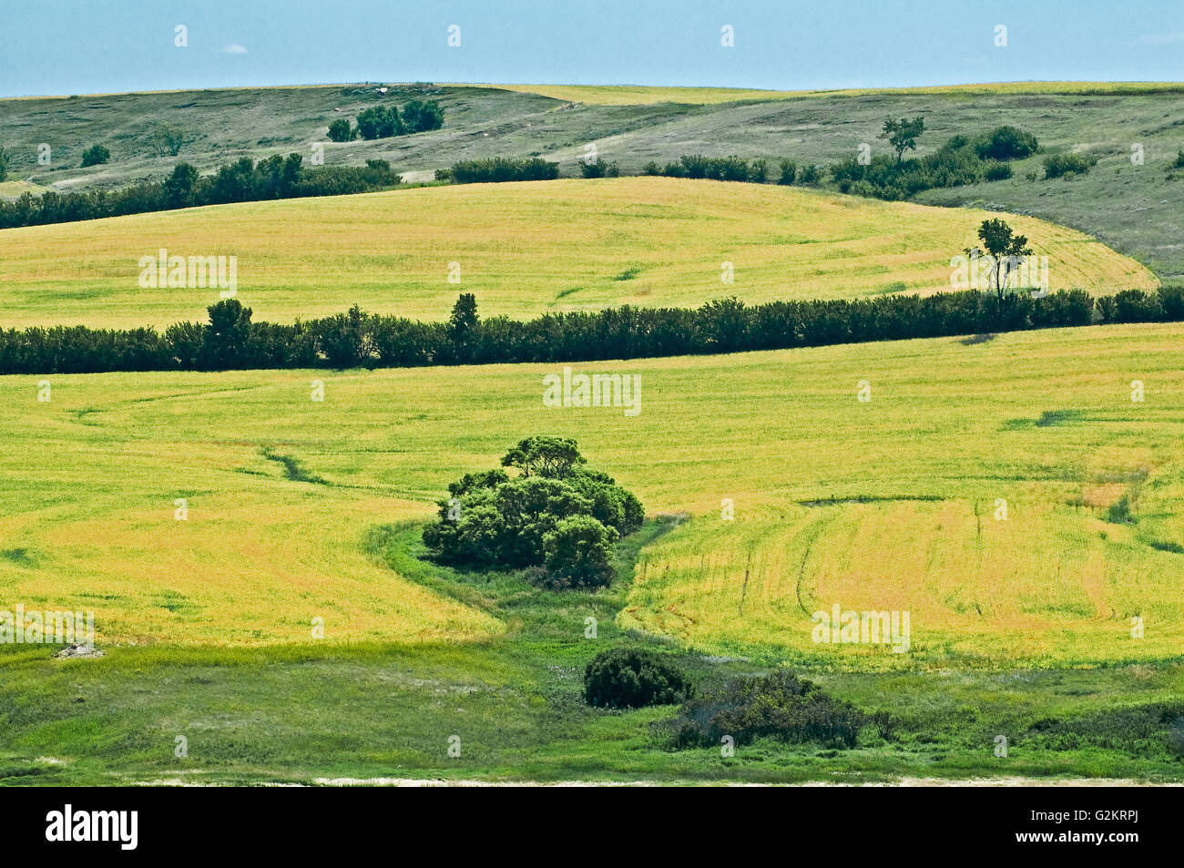 Minton hires stock photography and images Alamy