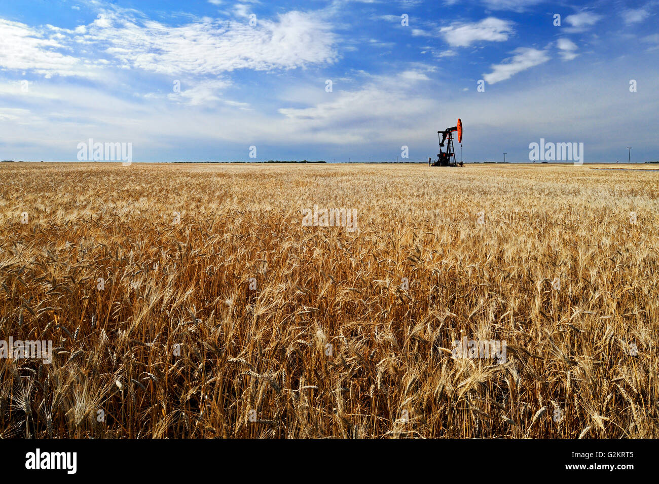 Oil pump jacks hires stock photography and images Alamy