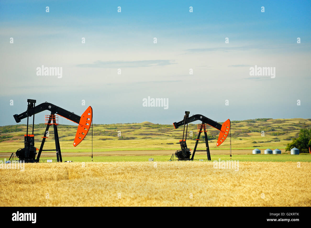 Oil pump jacks and wheat field Carlyle Saskatchewan Canada Stock Photo