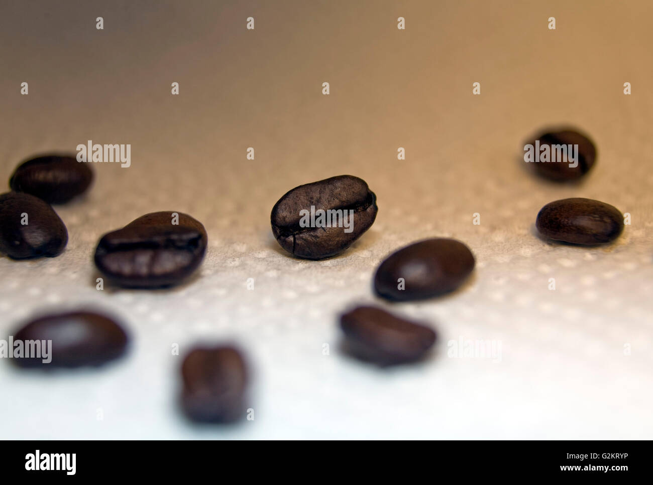 Coffee Beans Stock Photo