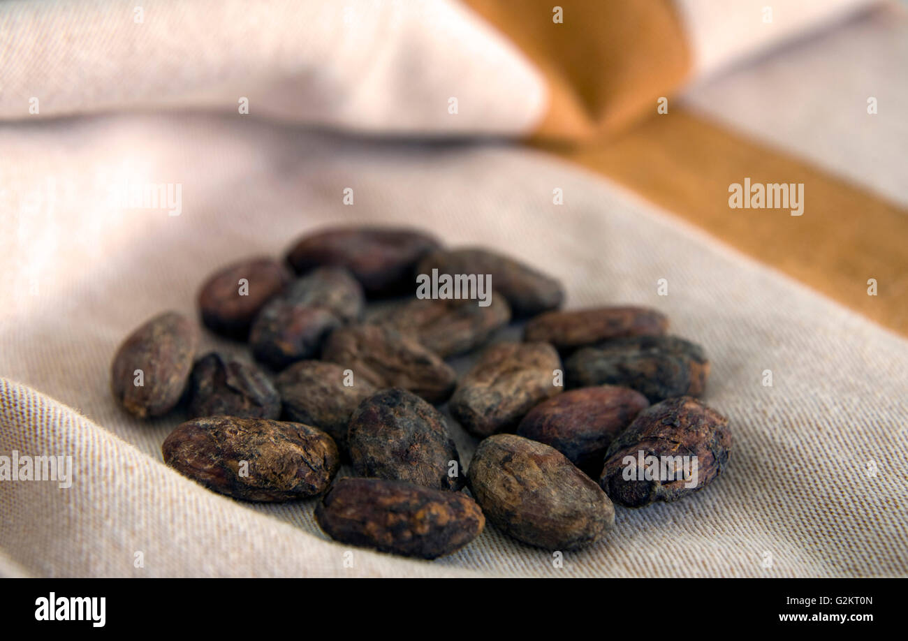 Cacao Beans Stock Photo