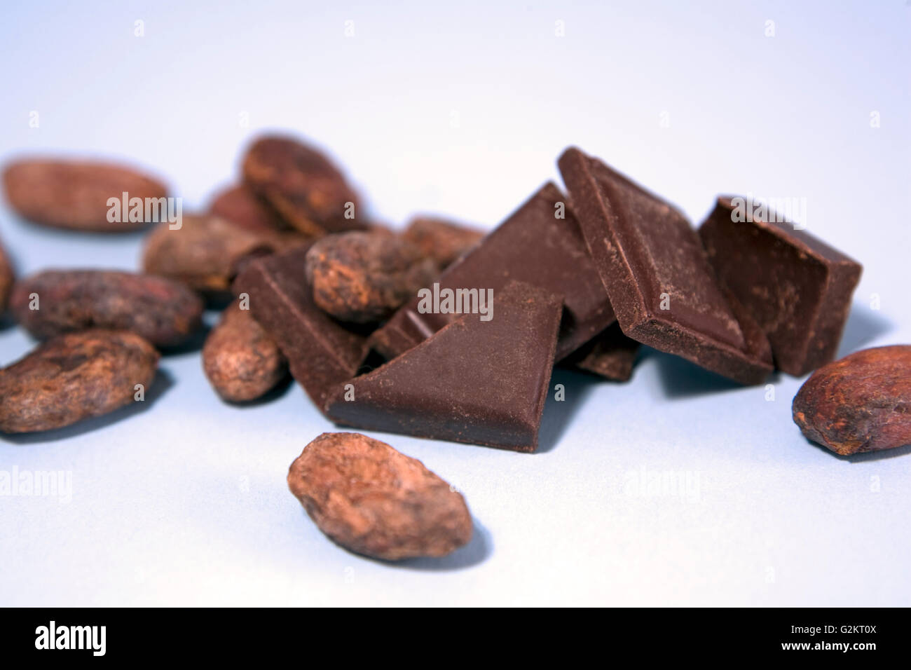 Cacao Beans with Chocolate Pieces Stock Photo