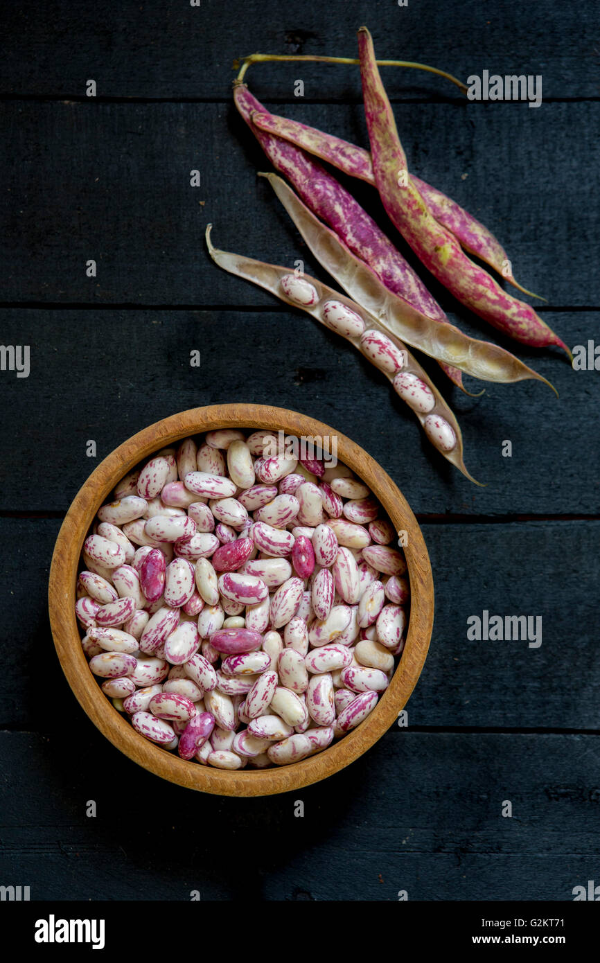 Raw Pinto Beans in Bowl next to Bean Pods Stock Photo Alamy