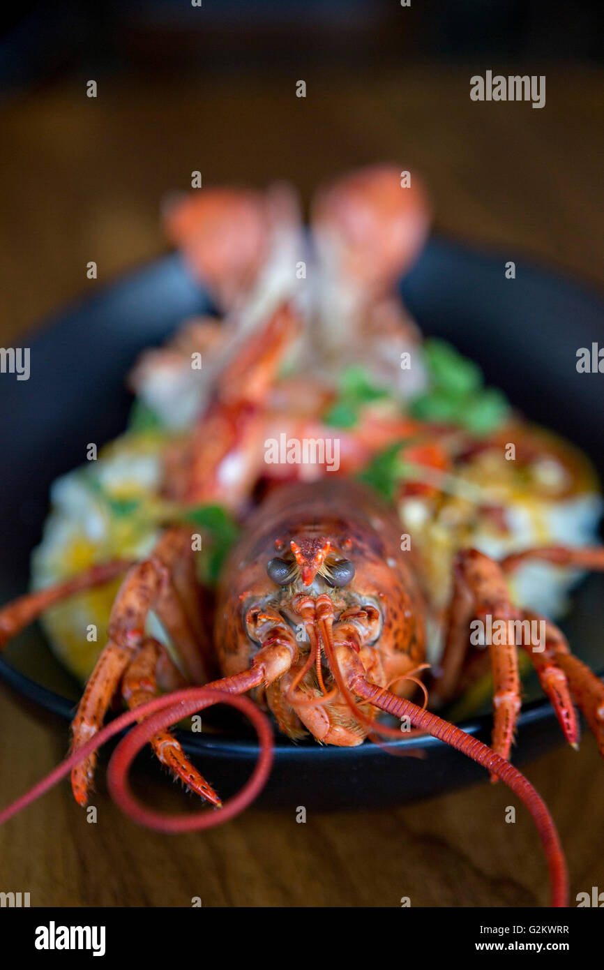 Lobster and Grits on Platter Stock Photo Alamy