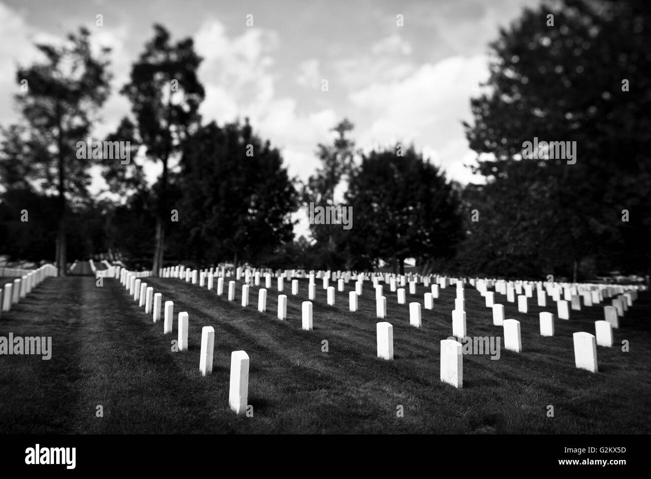 Rows of Gravestones, Arlington National Cemetery, Arlington, Virginia, USA Stock Photo