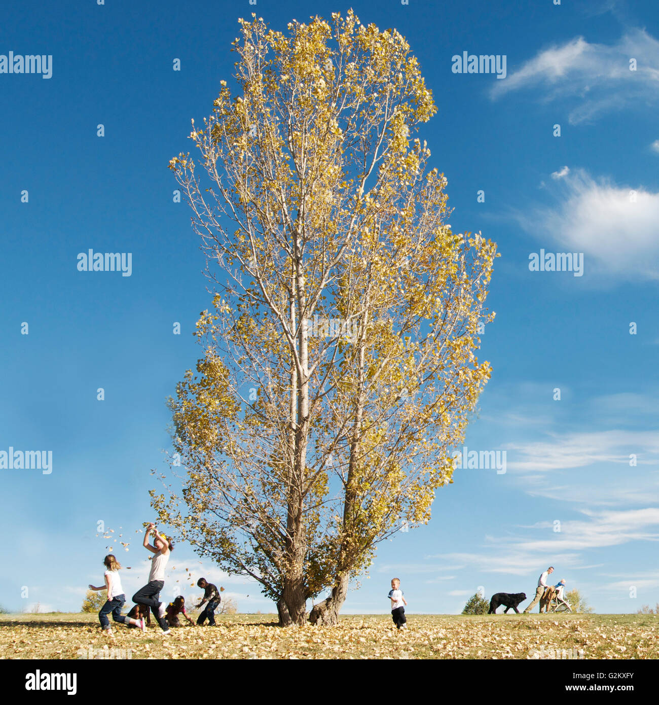 Children Playing with Leaves in Autumn Stock Photo - Alamy