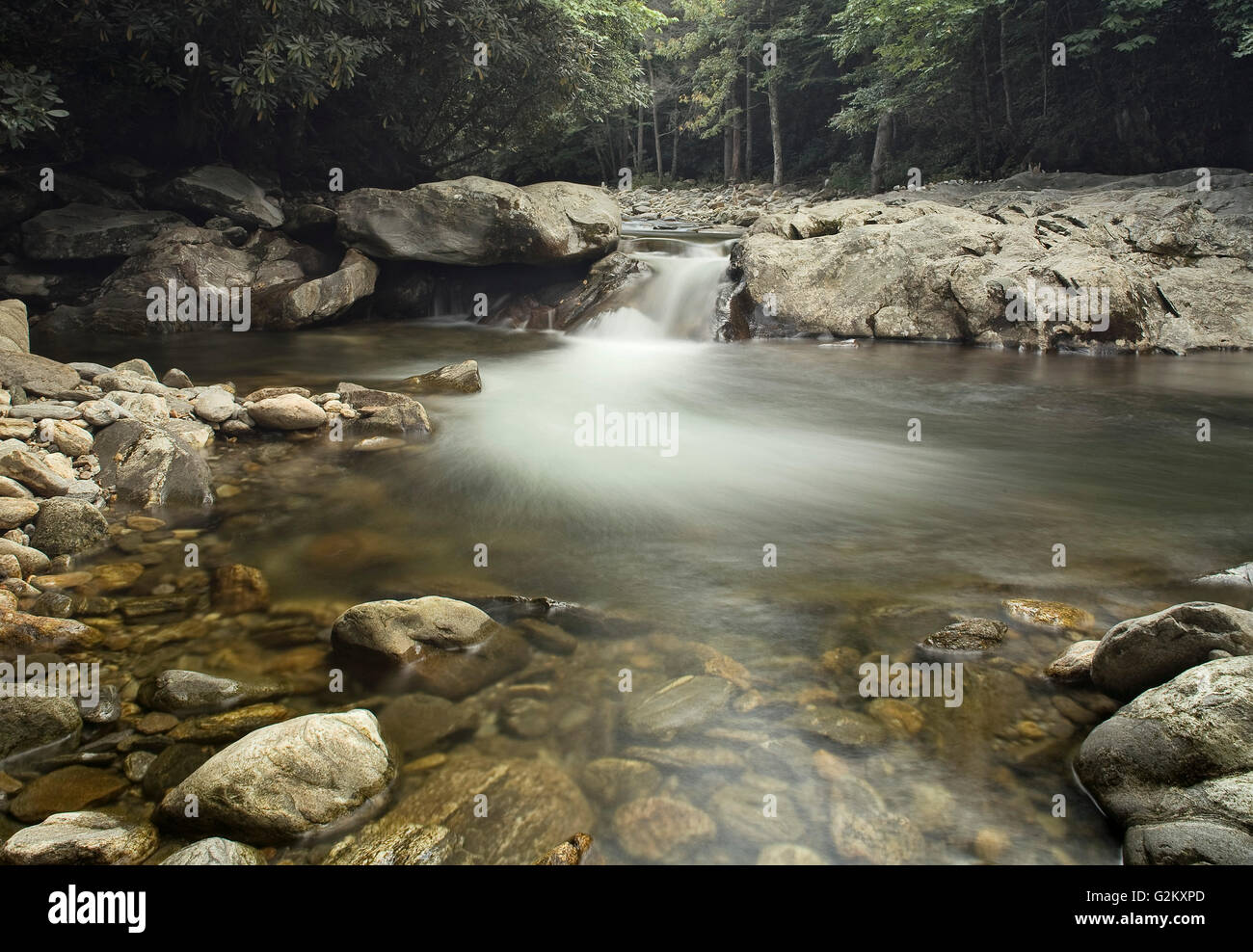 Rocky Stream, Pisgah National Forest Stock Photo