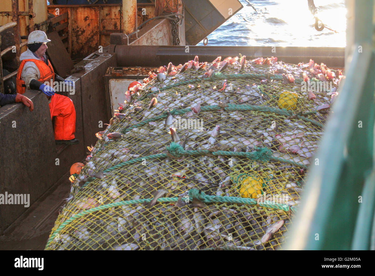 Fish net trawler catch hires stock photography and images Alamy