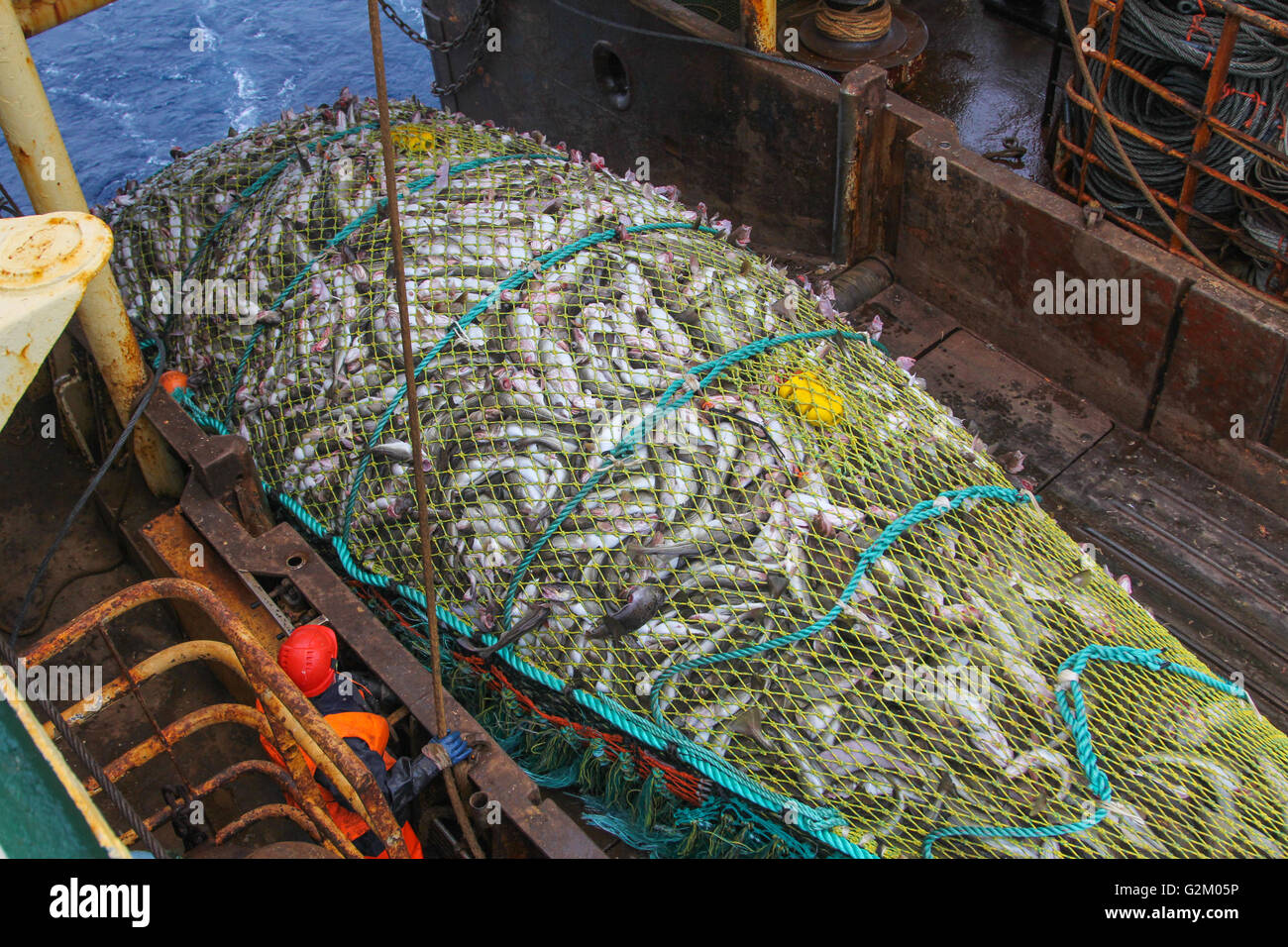 Fish trawler net full hi-res stock photography and images - Alamy