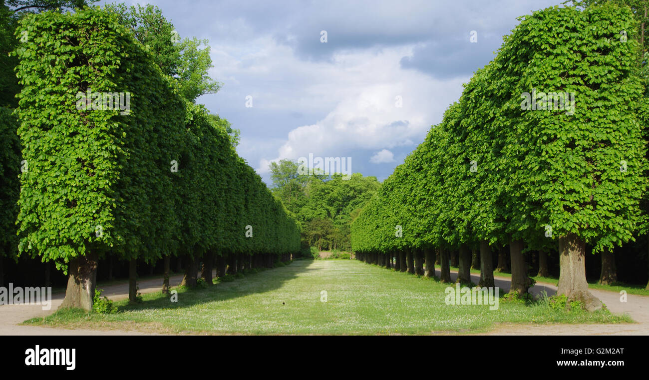 Park green trees hi-res stock photography and images - Alamy