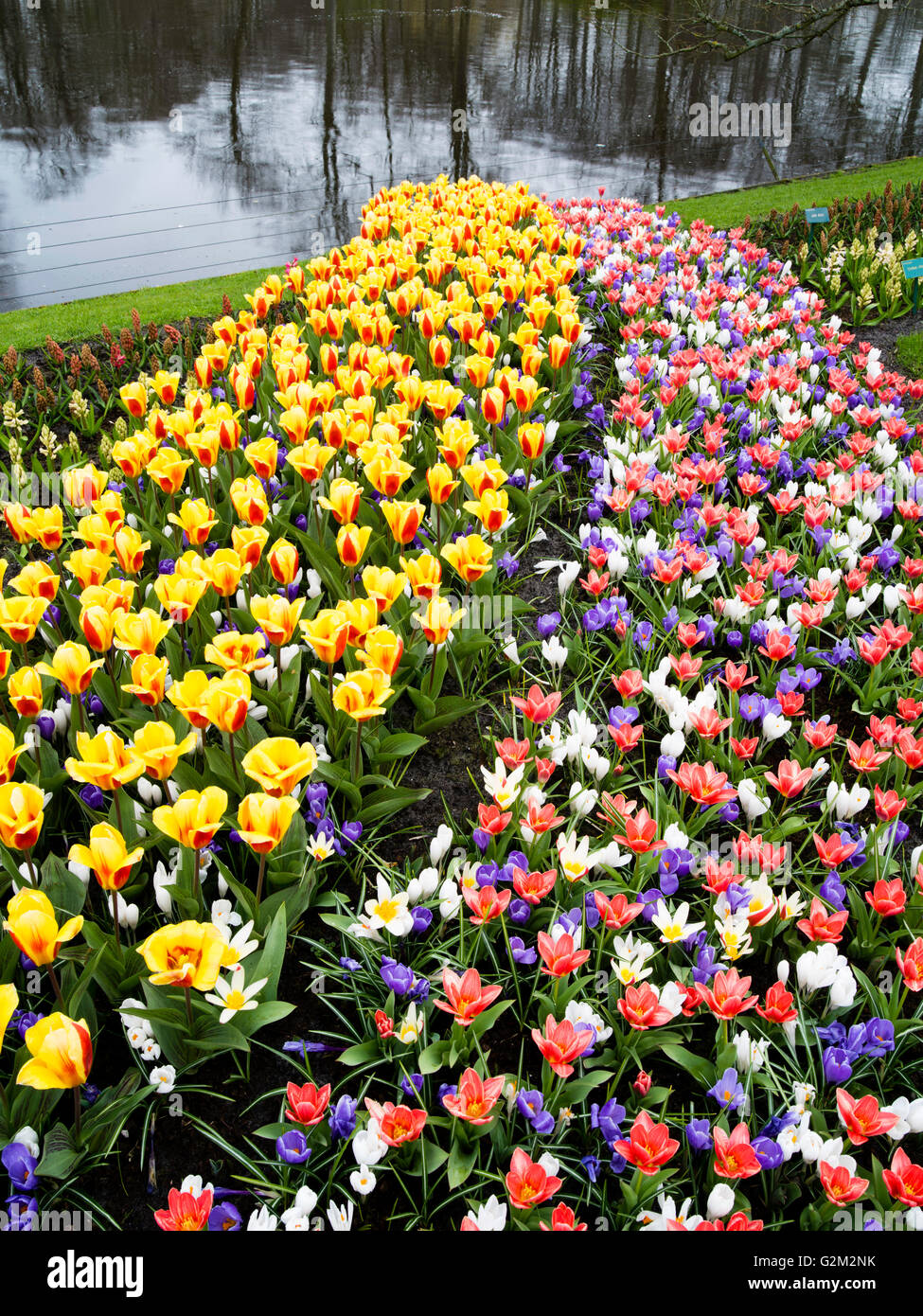 Visitors walk through and enjoy the many different flower displays at