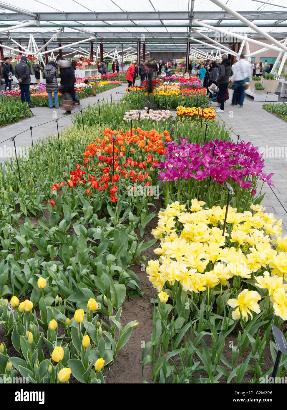 Visitors walk through and enjoy the many different flower displays at