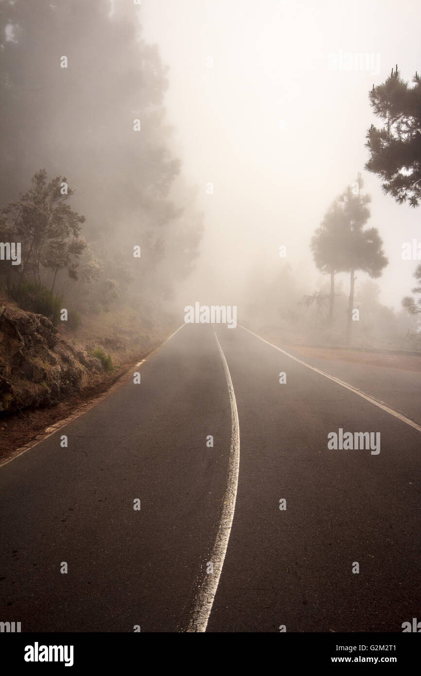 Mystic foggy forest road hi-res stock photography and images - Alamy