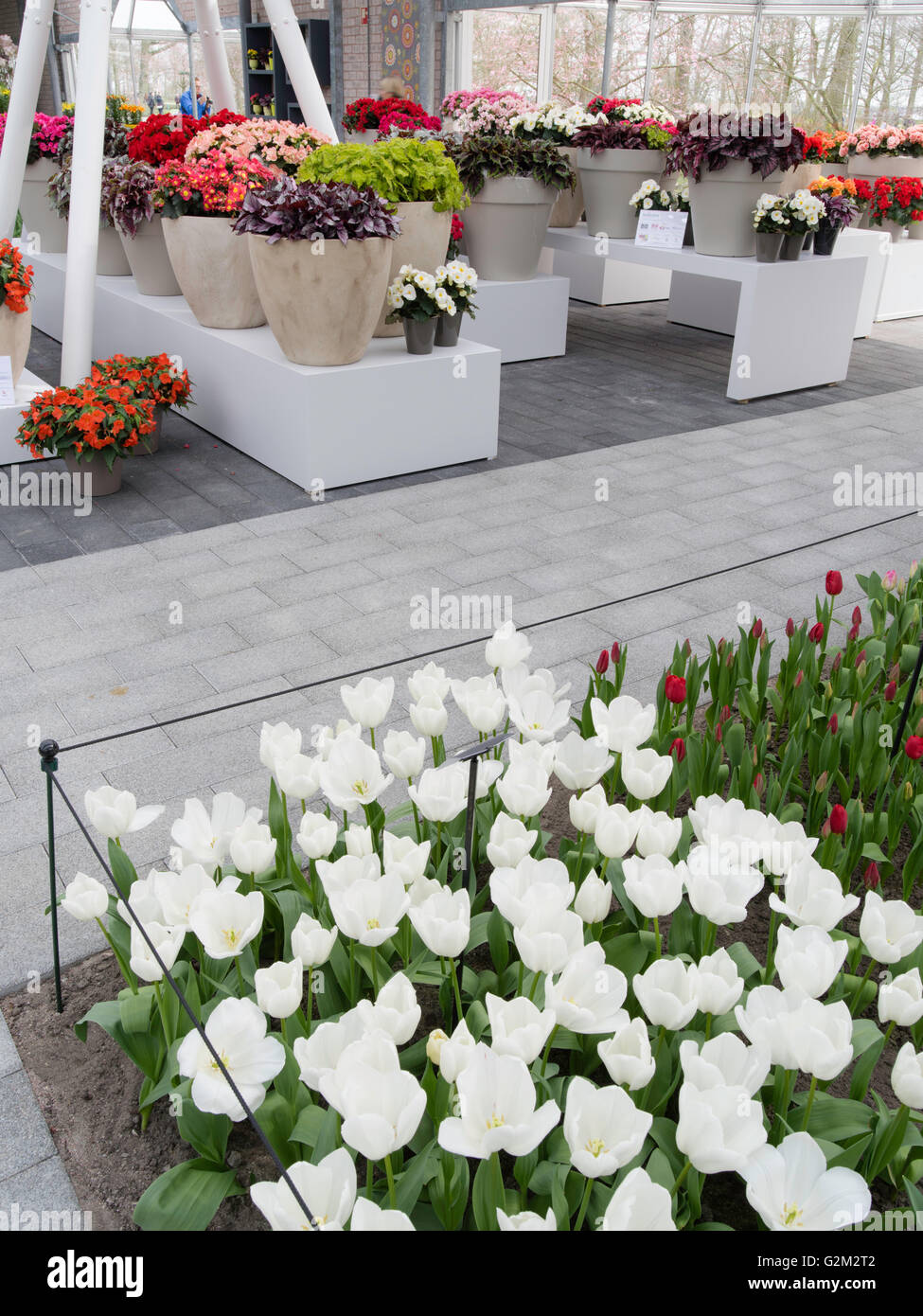 Visitors walk through and enjoy the many different flower displays at