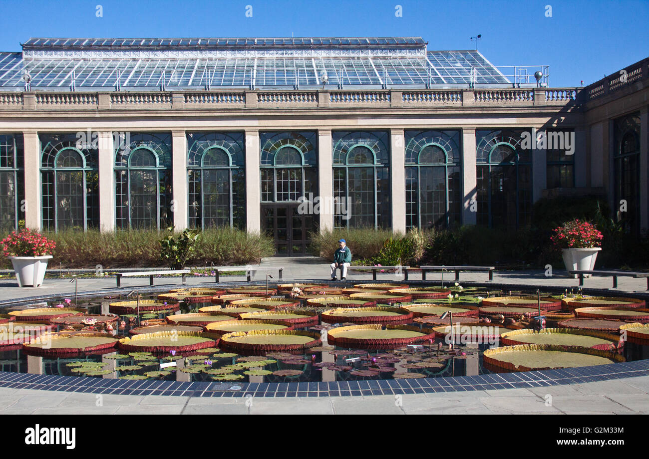Water Lily ponds at Longwood Gardens in Kennett Square, Pennsylvania Stock Photo