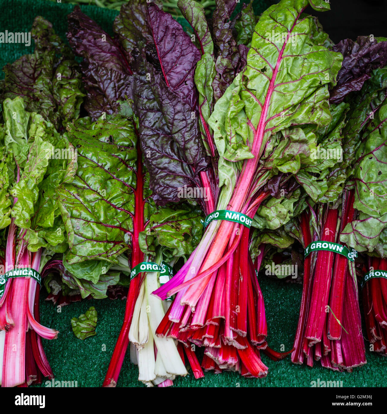 Colorful Swiss Chard at the Farmers Market Stock Photo