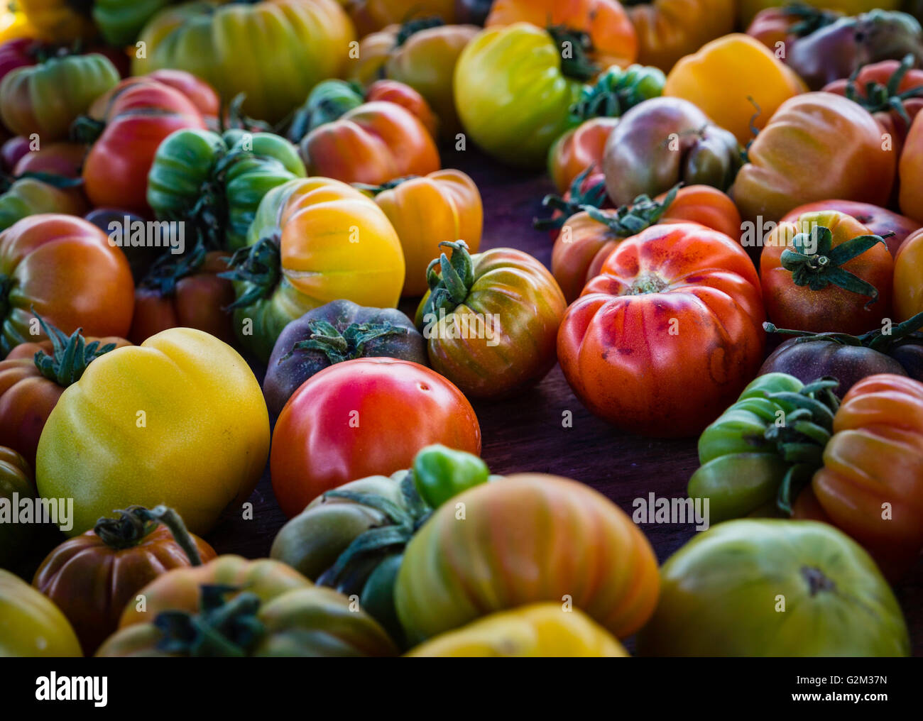 Organic heirloom tomatoes at the local Farmers Market are bursting with flavor Stock Photo