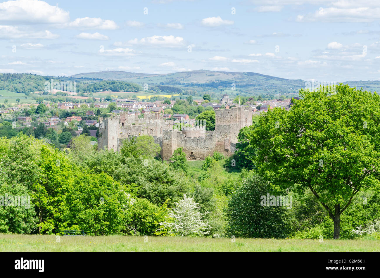 The Shropshire town of Ludlow and it's castle viewed from Whitcliffe