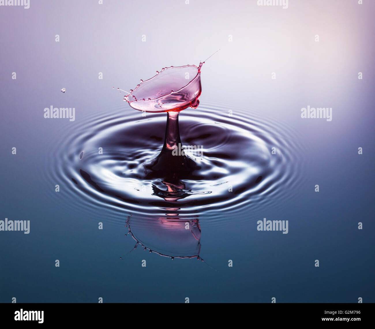 Camera dropped in water hi-res stock photography and images - Alamy