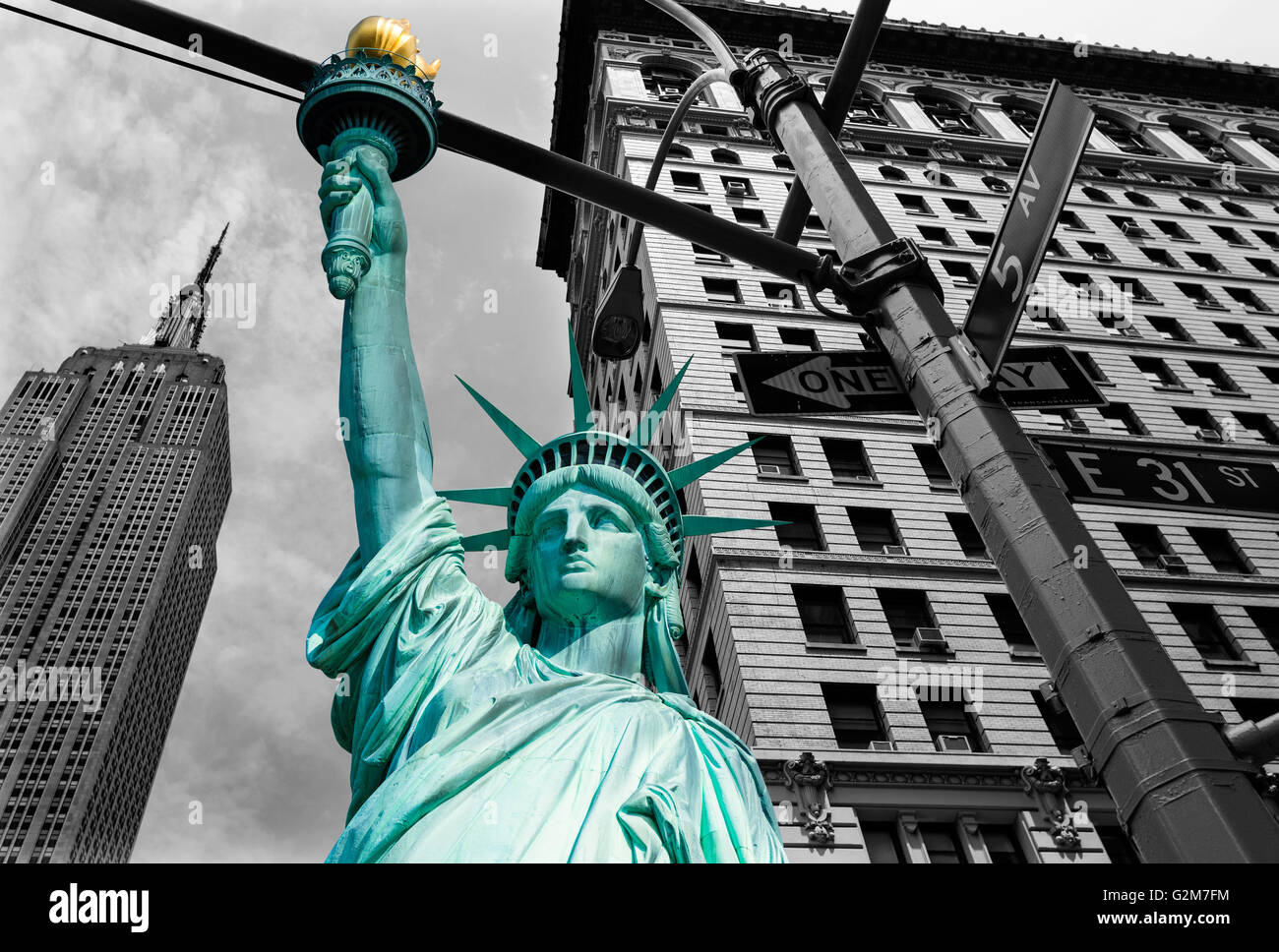 Unveiling New Yorks Majestic State Tree A Symbol Of The Empire State - ob4vnjj