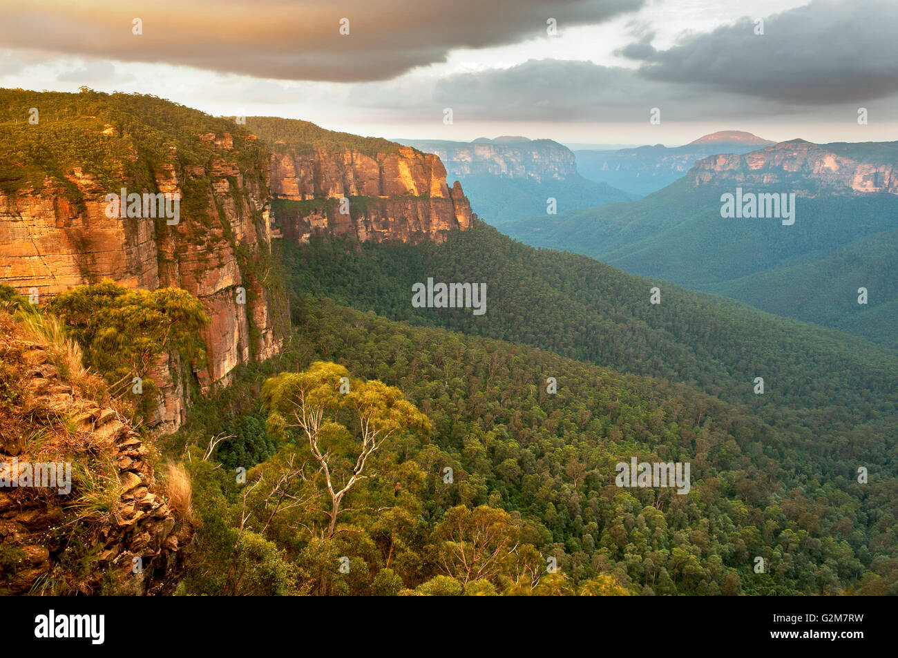 Glowing cliffs of Grose Valley in the Blue Mountains. Stock Photo