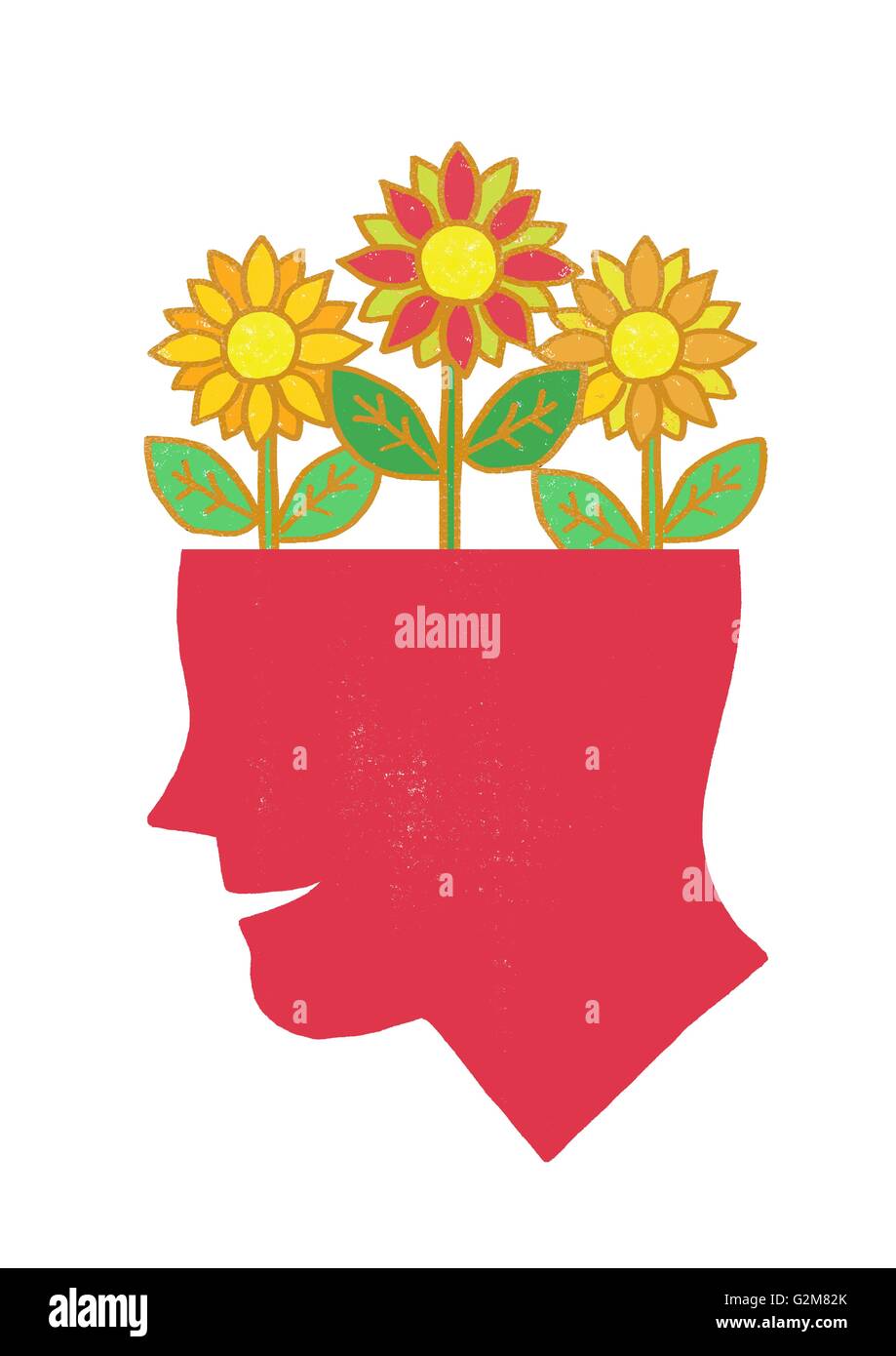Human head with flowers growing from inside Stock Photo Alamy