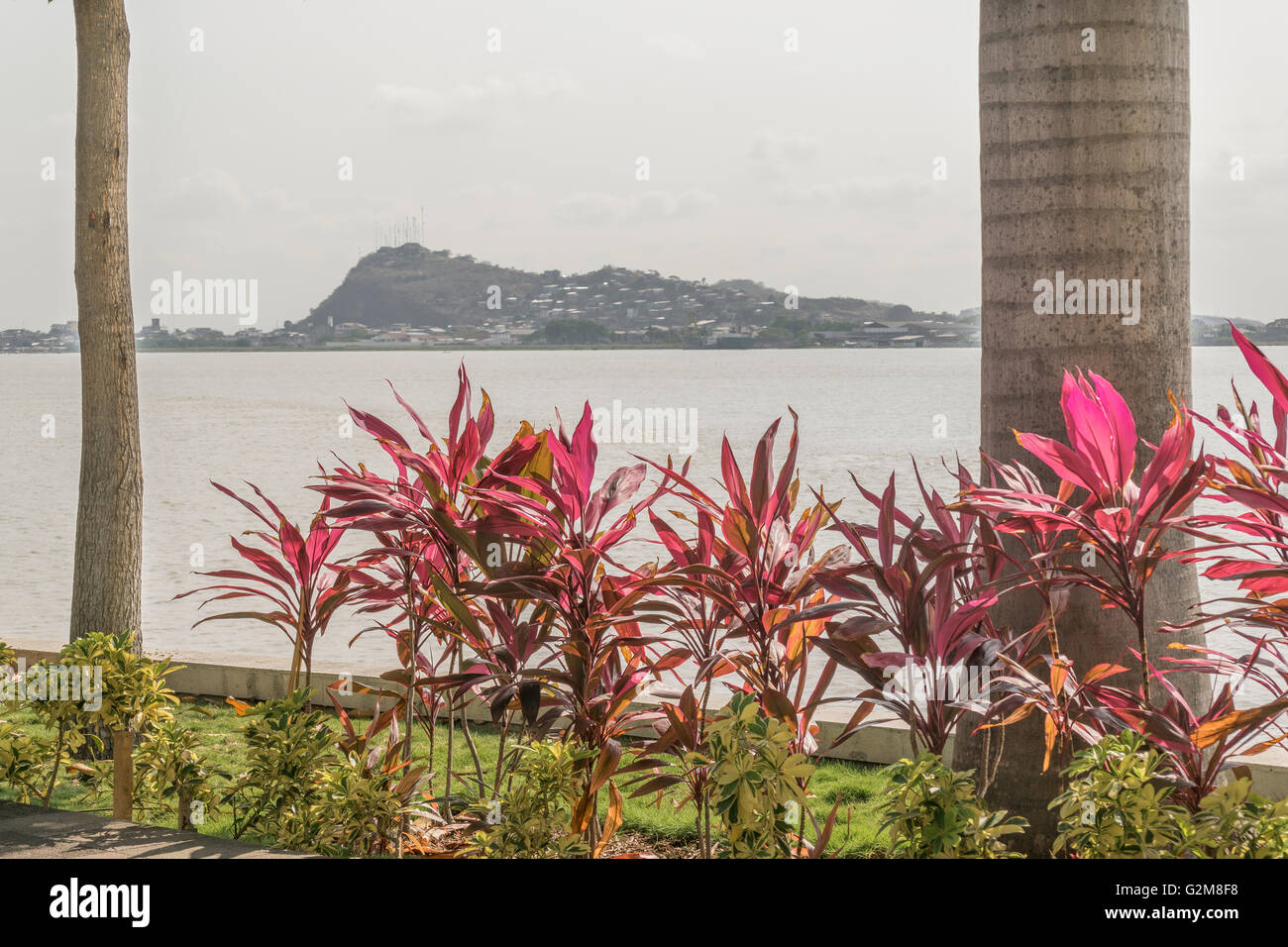 Guayas river and hill view from the boardwalk of Puerto Santa Ana in Guayaquil, Ecuador Stock Photo