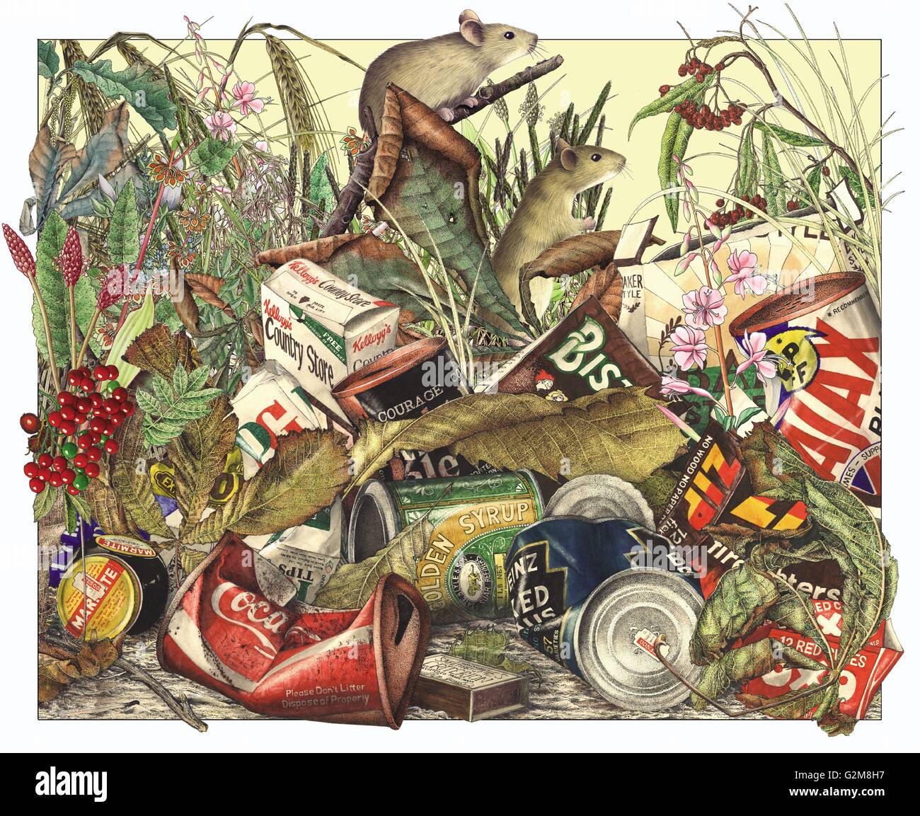 Mice in trash Stock Photo Alamy