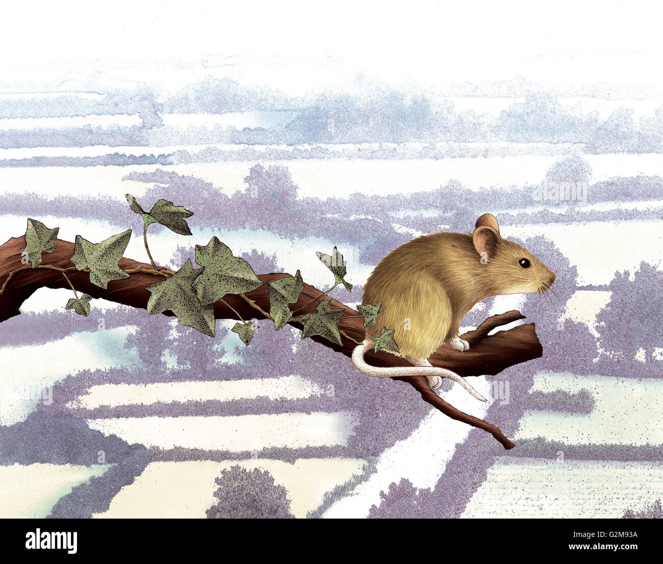 Mouse climbing tree Stock Photo Alamy