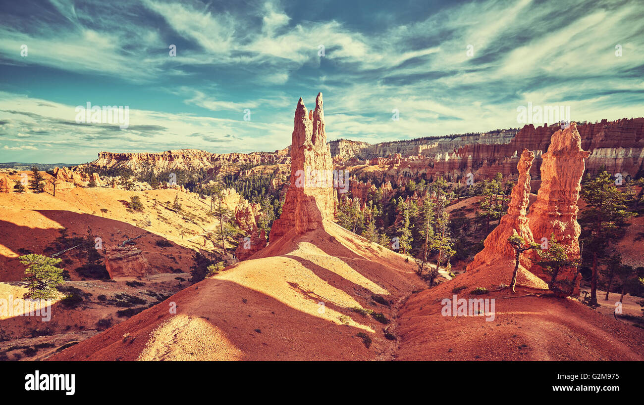 Vintage toned landscape with hoodoos in Bryce Canyon National Park, USA. Stock Photo