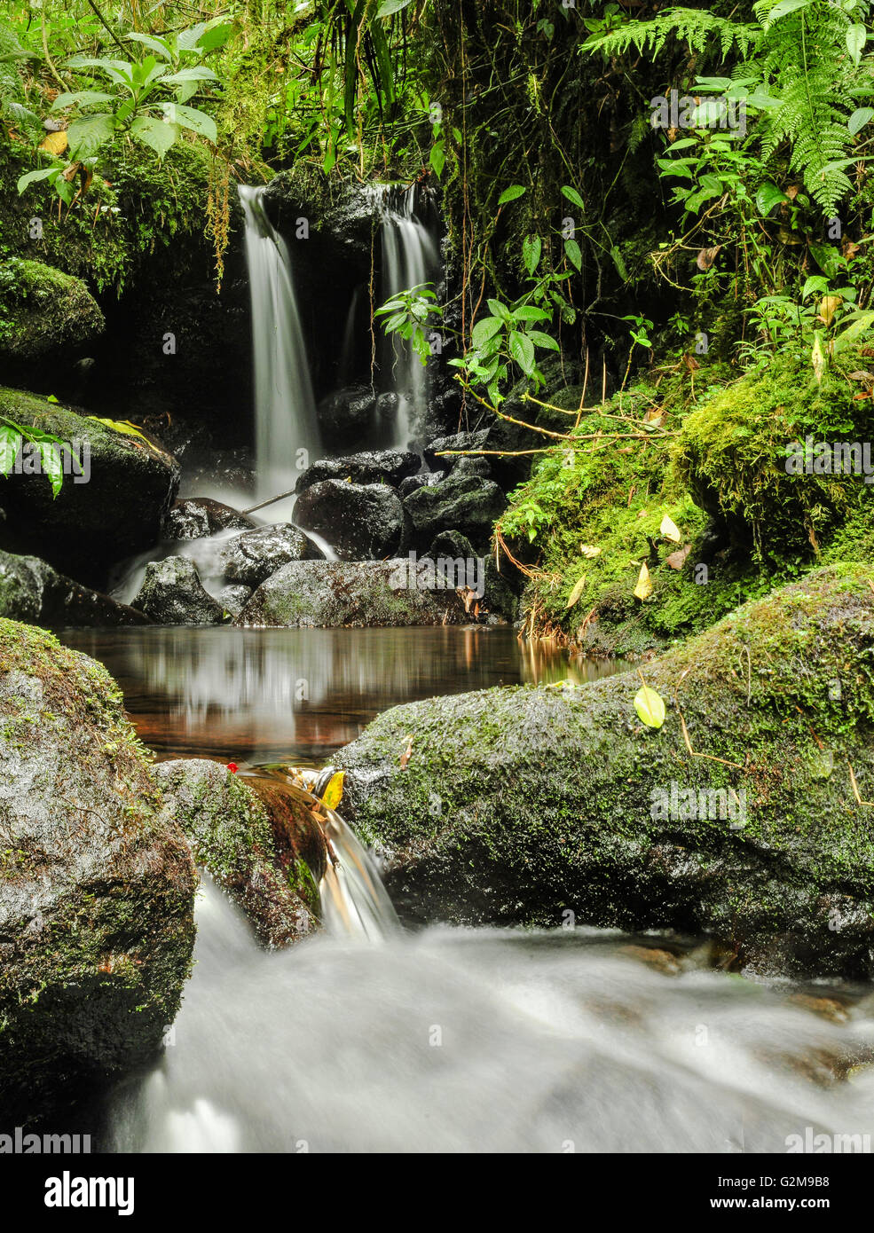Fall stream with rocks hi-res stock photography and images - Alamy