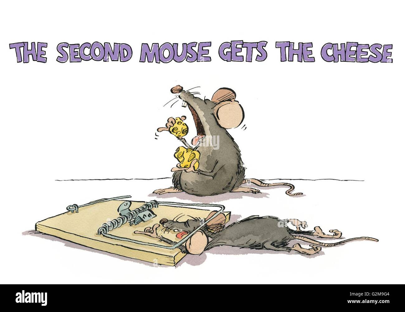 Mouse in trap and mouse eating cheese Stock Photo Alamy