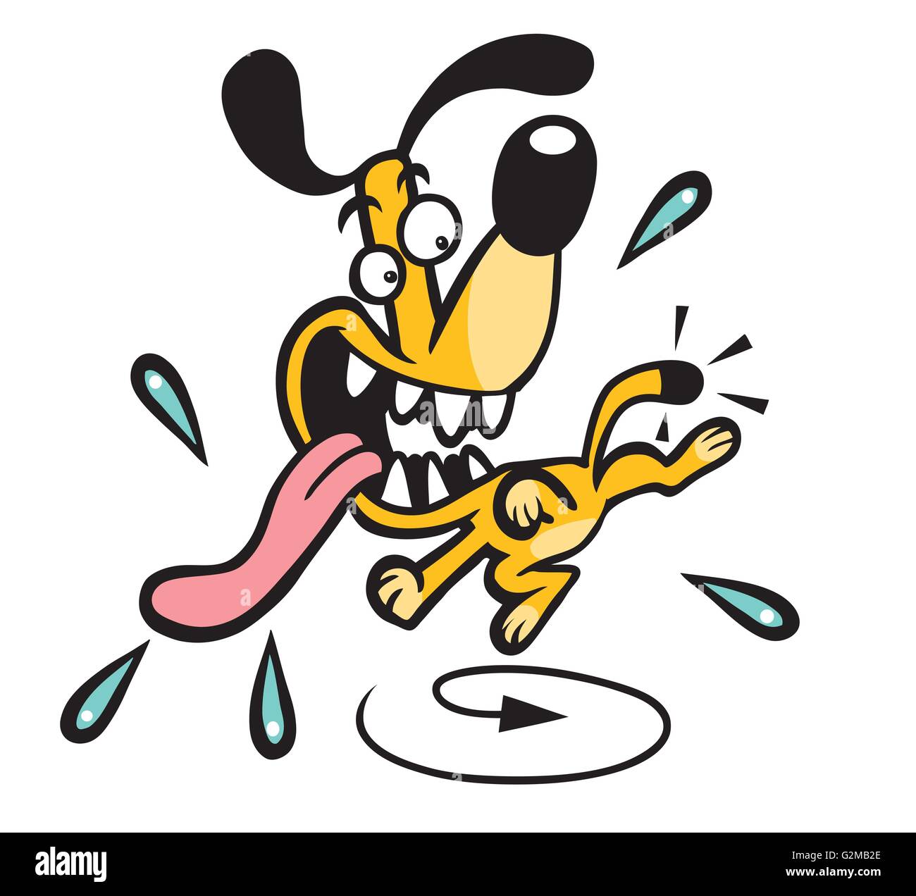 Dog jumping with mouth open Stock Photo Alamy