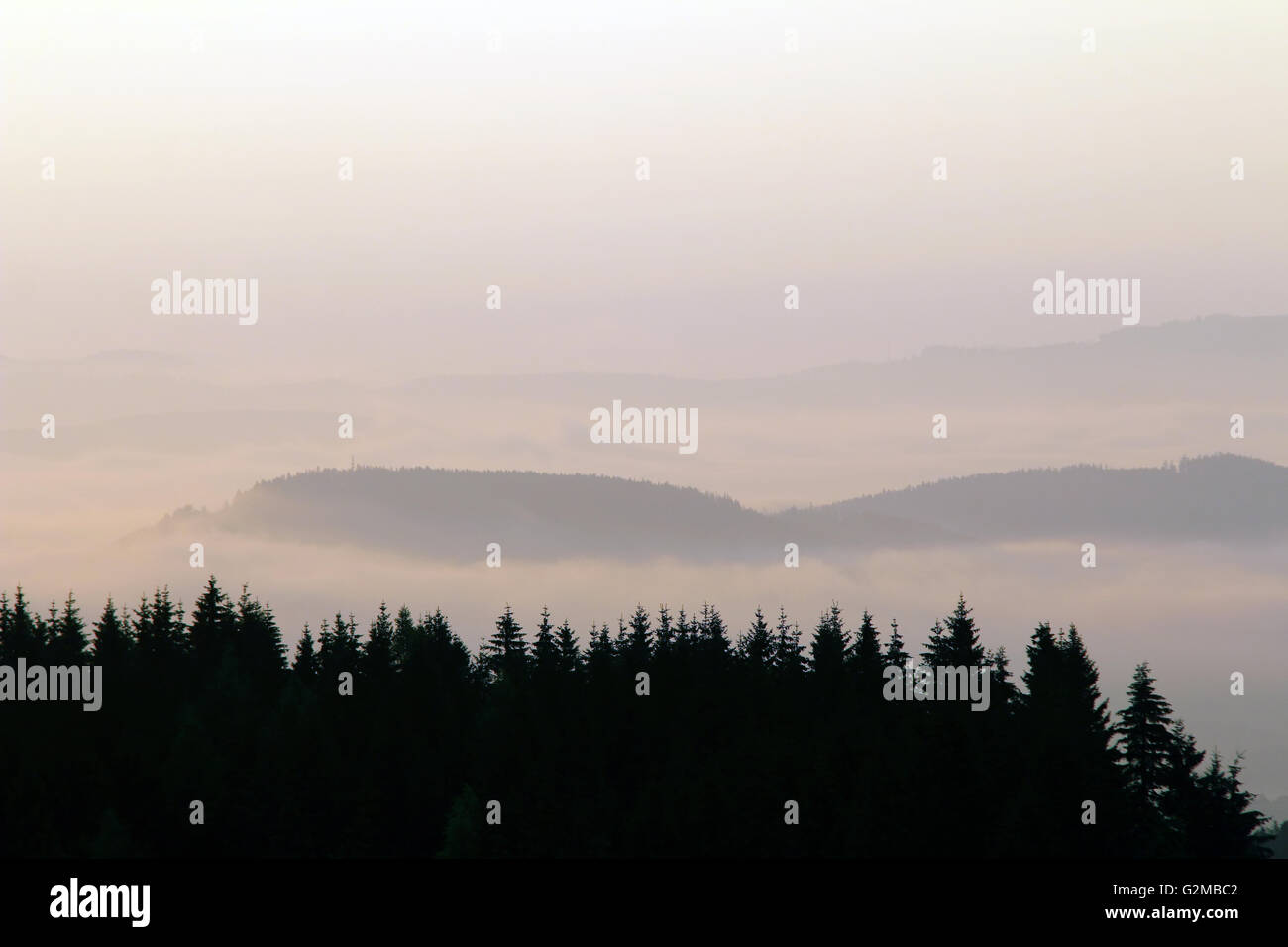 Forested hills in early morning mist Stock Photo