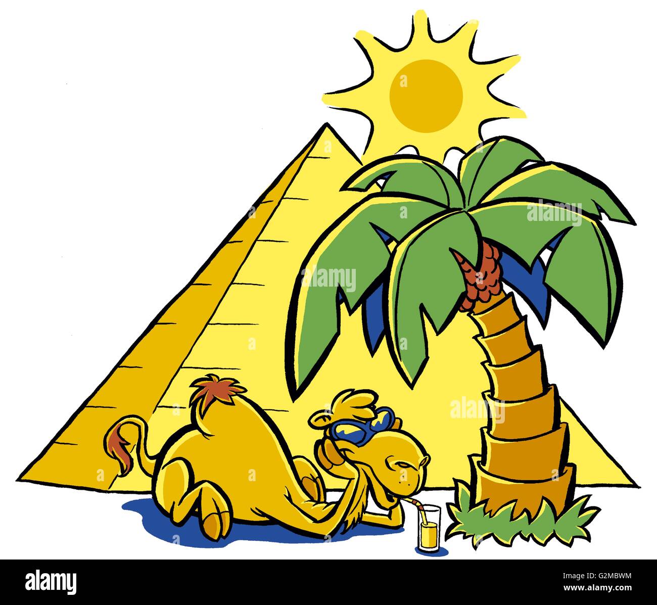 Camel with sunglasses Stock Photo Alamy