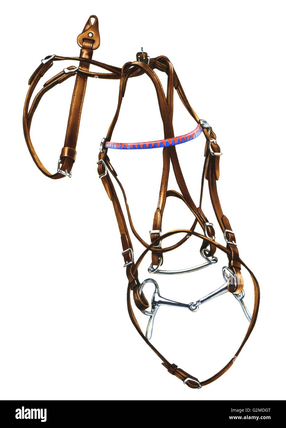 Bridle on white background Stock Photo - Alamy