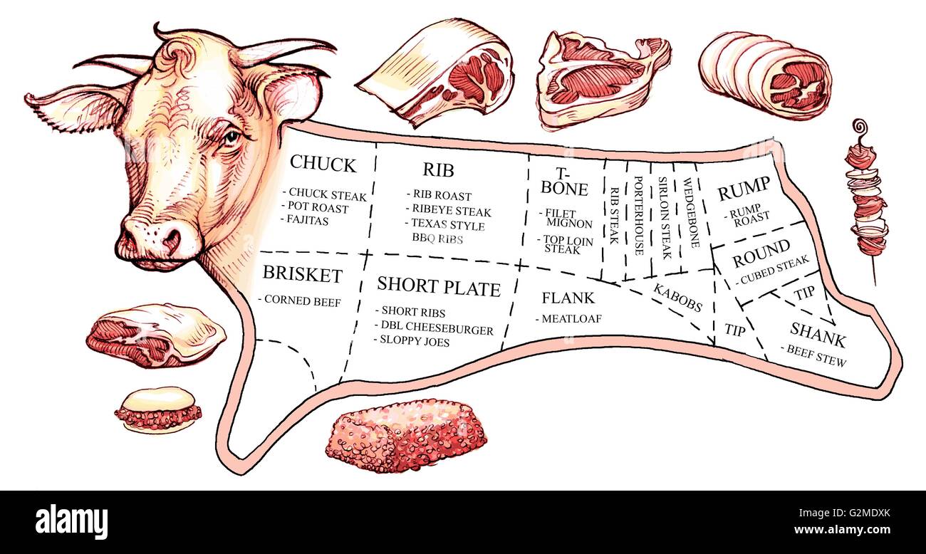 Chart of beef variations Stock Photo Alamy
