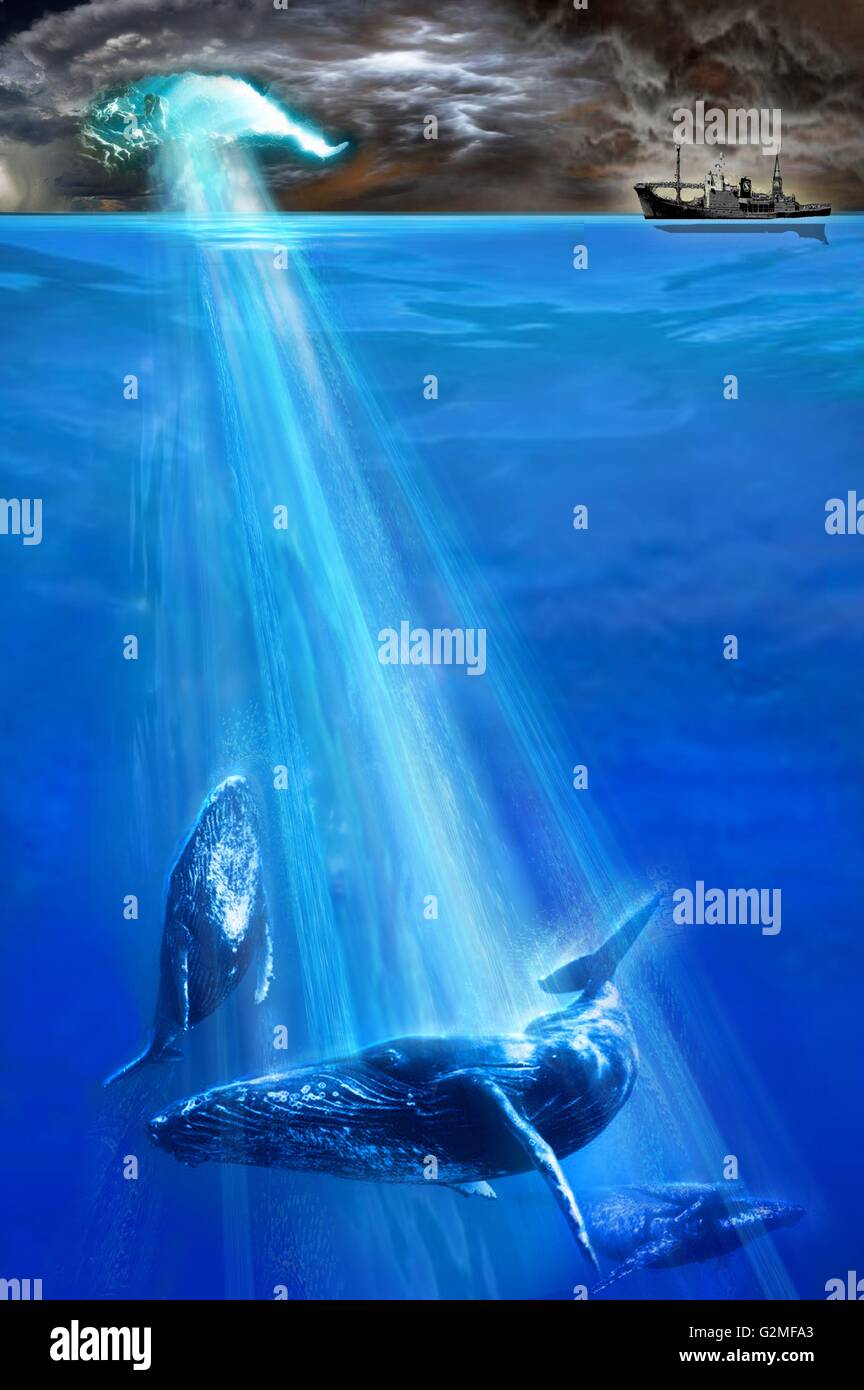 Whales swimming in sea Stock Photo - Alamy
