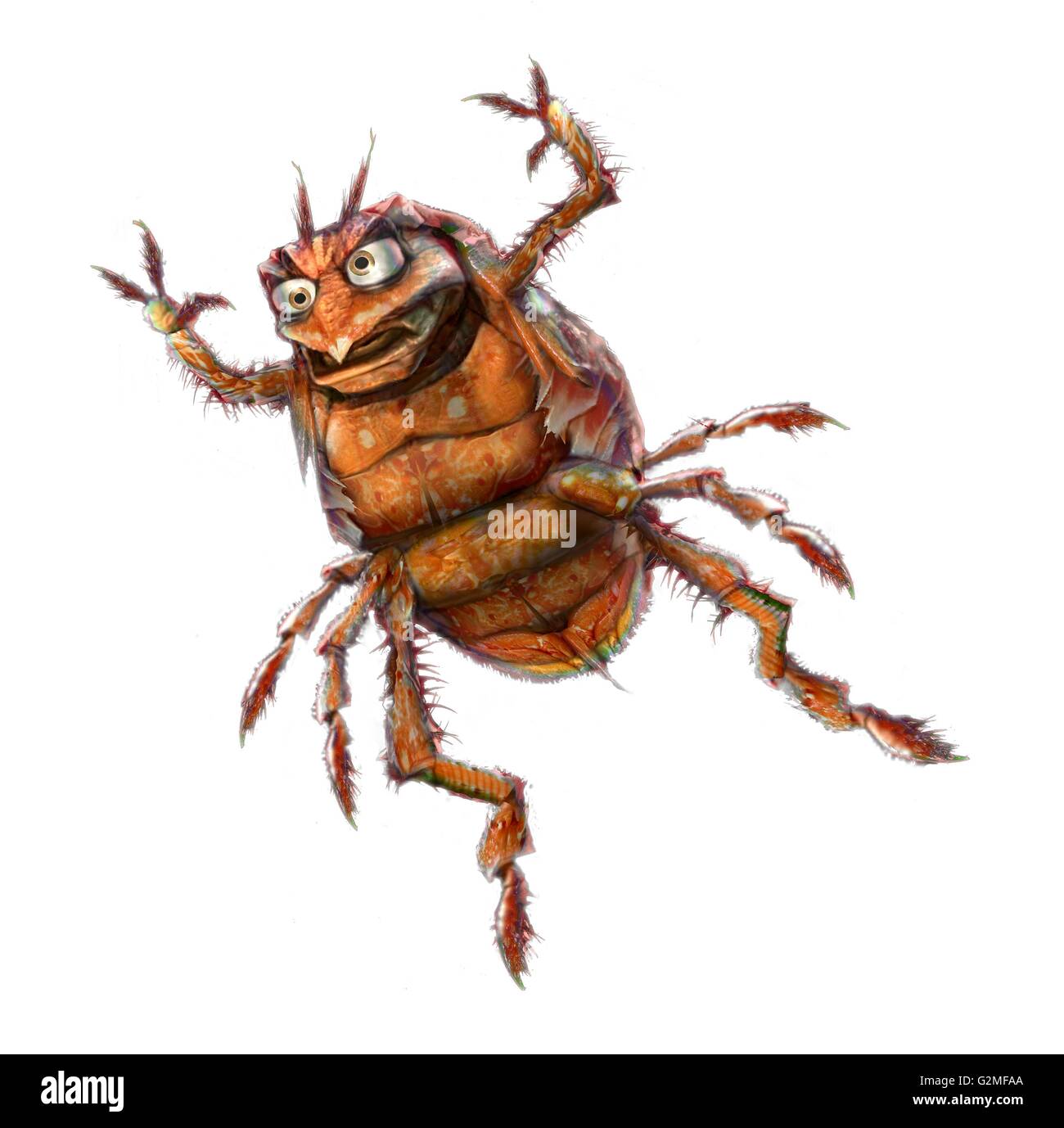 Flea on white background Stock Photo - Alamy