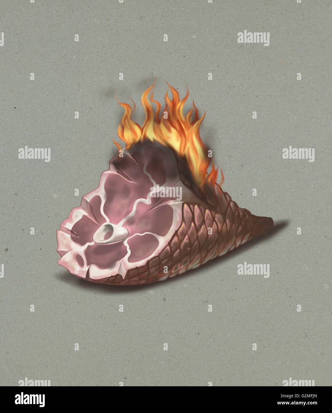 Burning ham on grey background Stock Photo: 104942845 - Alamy