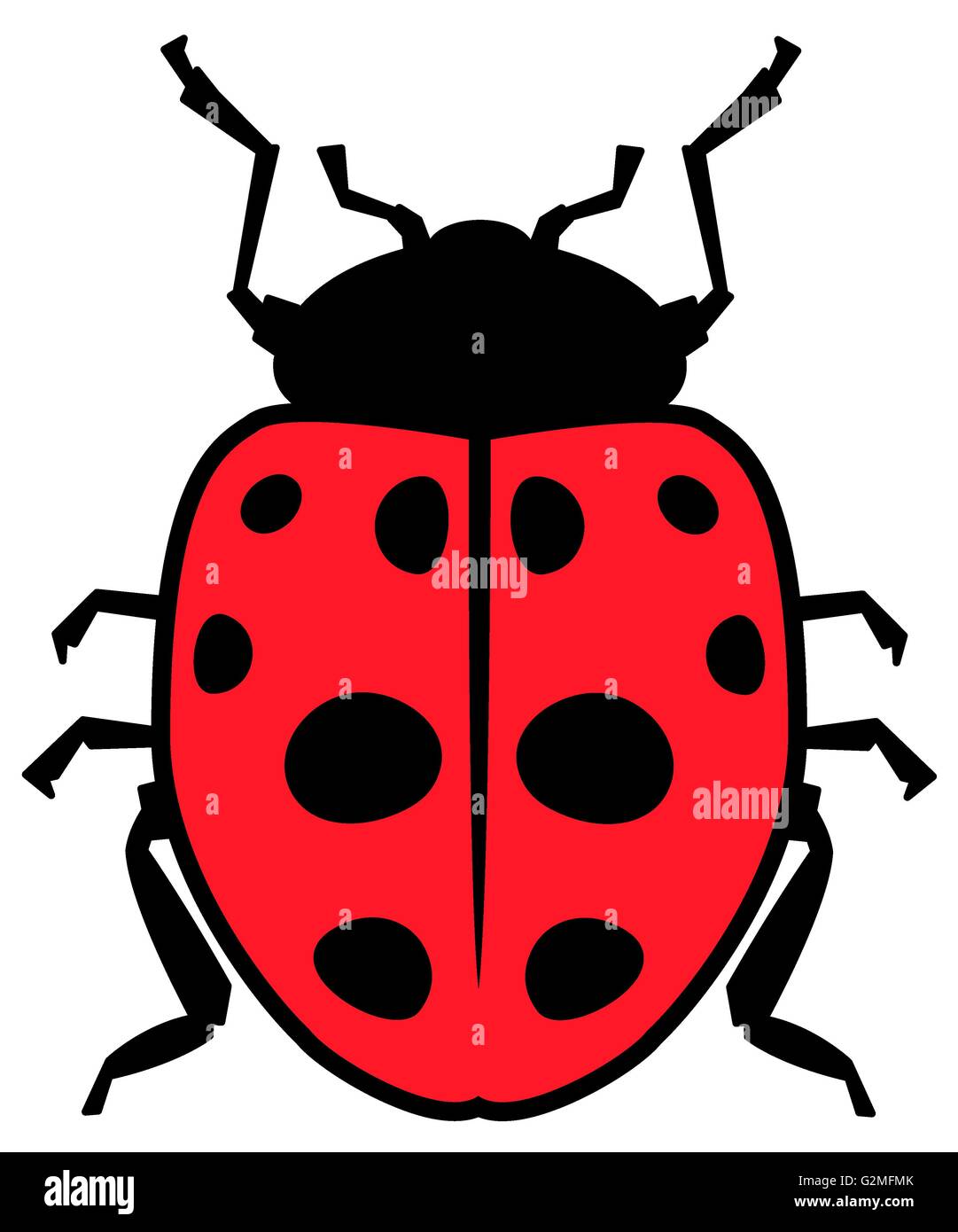 Ladybug on white background Stock Photo