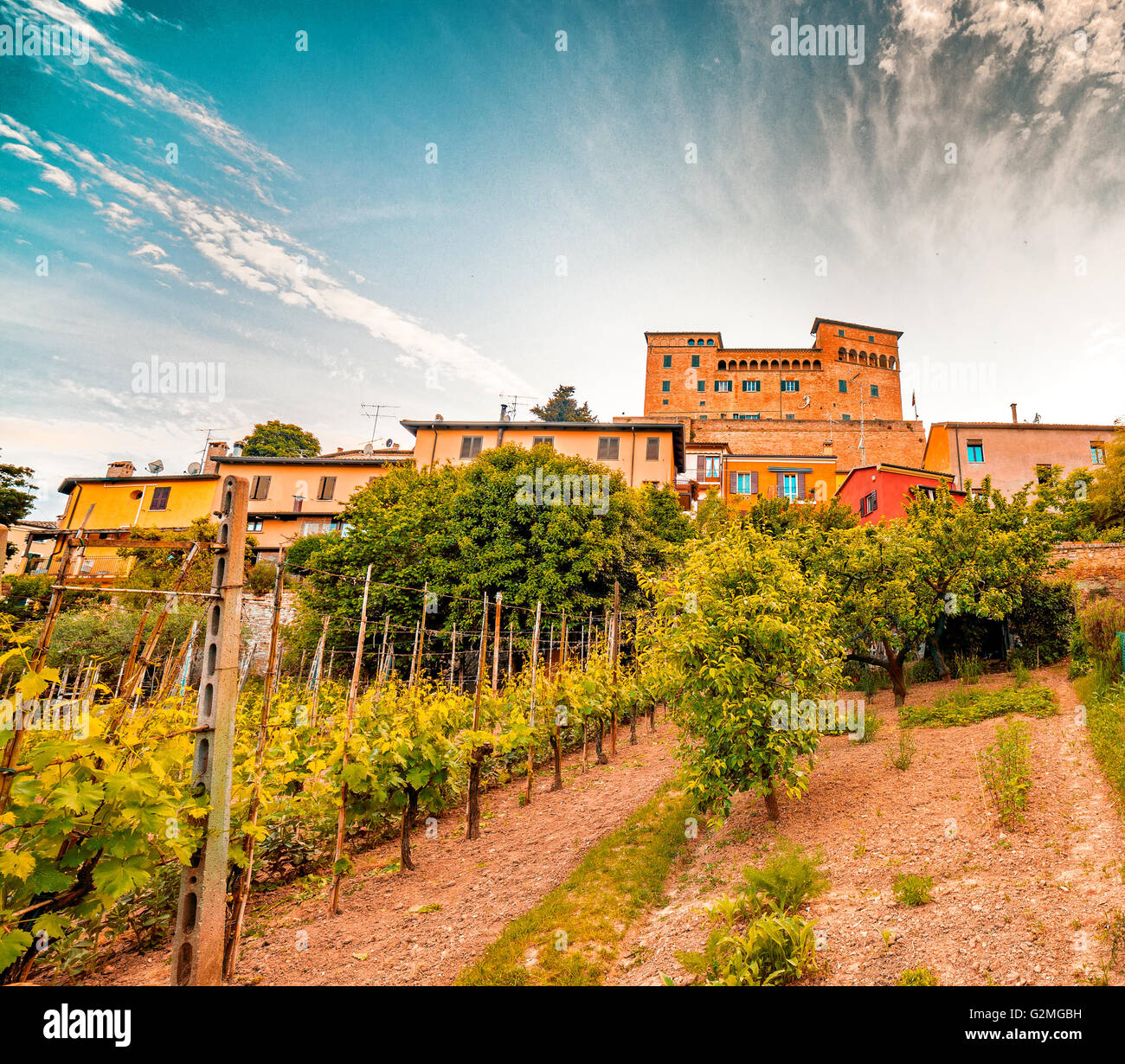 cultivated fields, orchards and vineyards under 1200 AD Malatestian castle of Longiano, in Italy Stock Photo