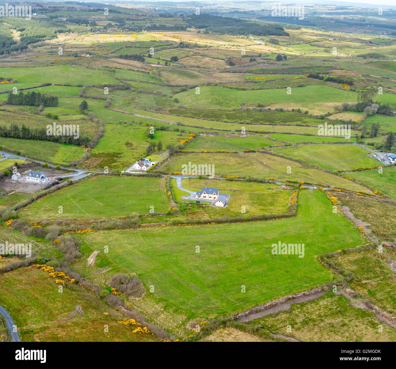 Aerial view, single houses in the countryside, COUNTY CLARE, Clare